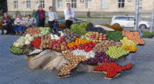Результат пошуку зображень за запитом "овочева карта україни україни"